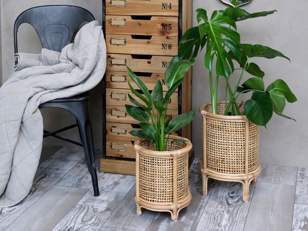 Hovedbilde Rotting potteskjuler fra Chic Antique