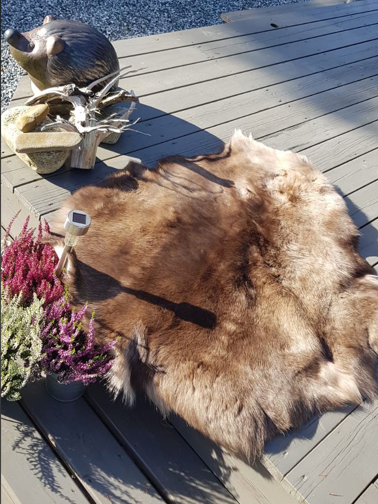 Reinskinn i norsk kvalitet