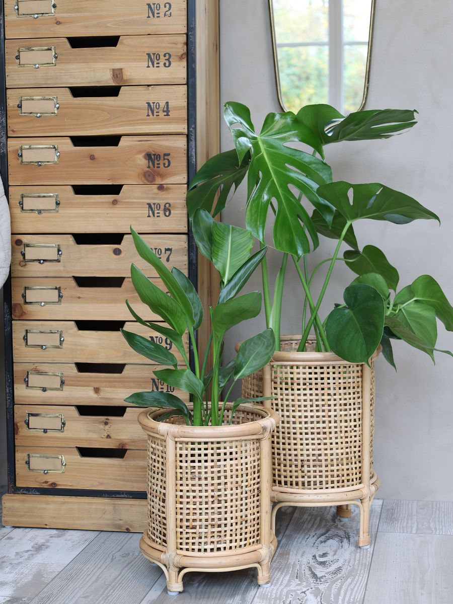 Rotting potteskjuler fra Chic Antique